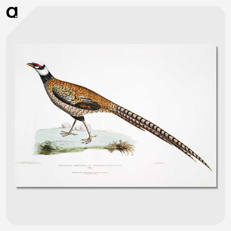1-60_Indian-Zoology_picture-crop
