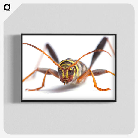 1-60_Insects-Unlocked-Project_blk-crop