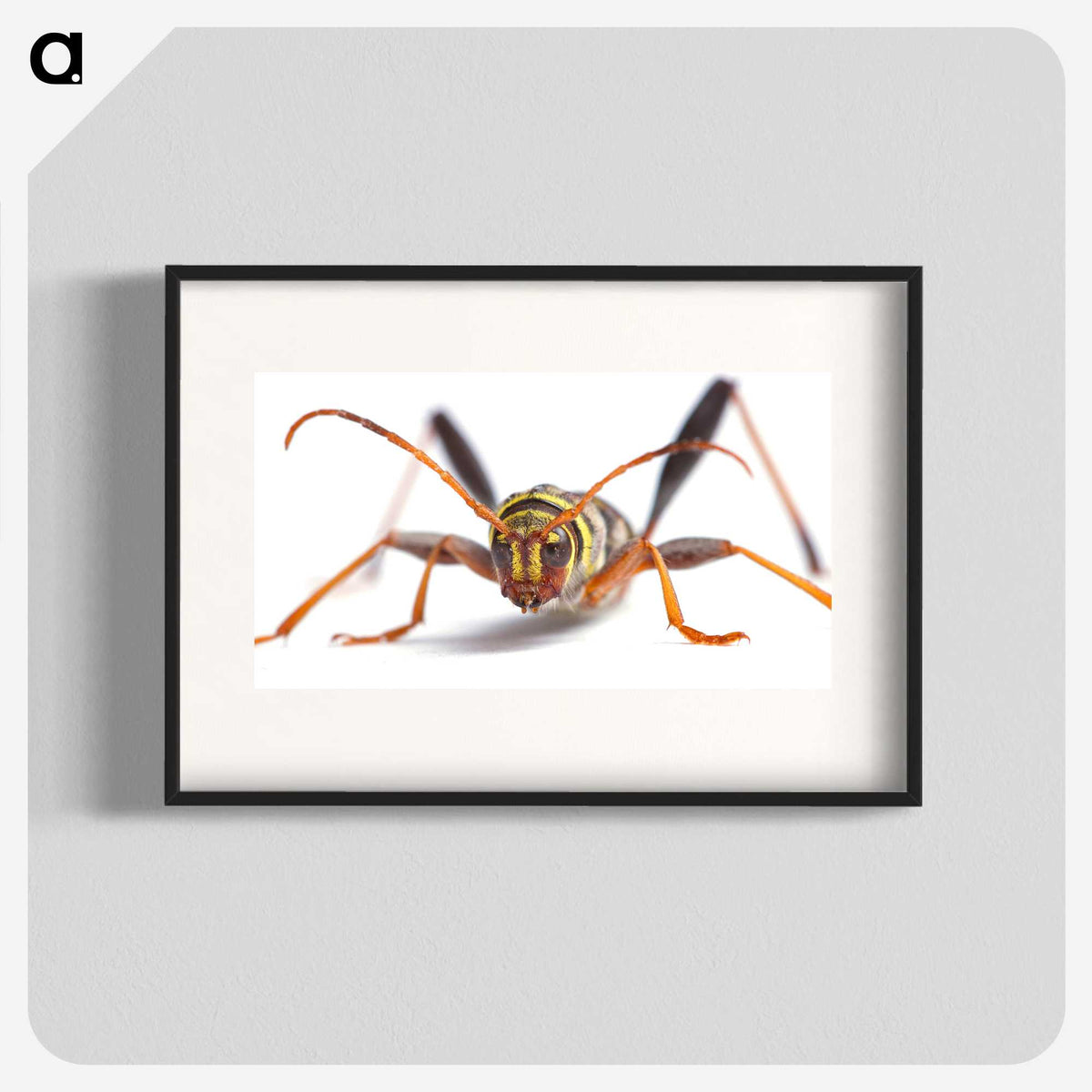 1-60_Insects-Unlocked-Project_blk