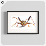 1-60_Insects-Unlocked-Project_blk
