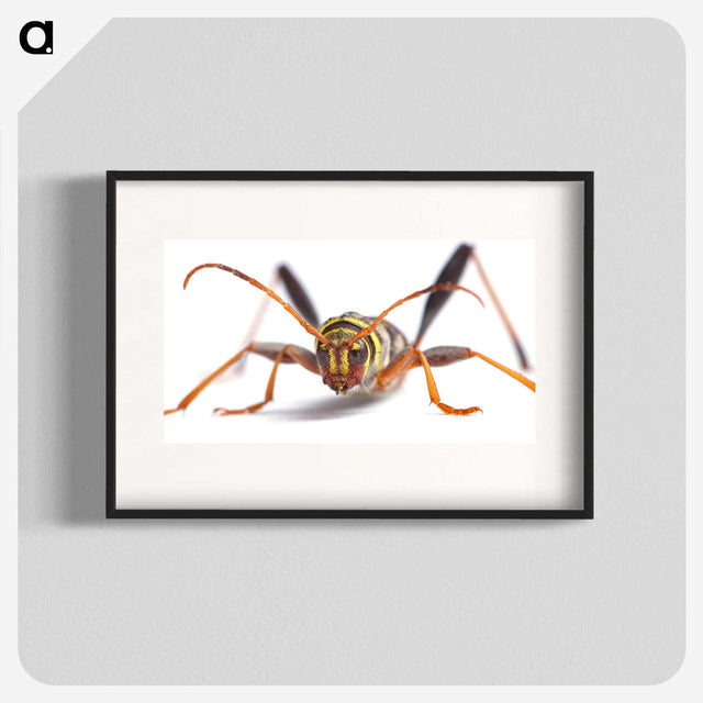 1-60_Insects-Unlocked-Project_blk