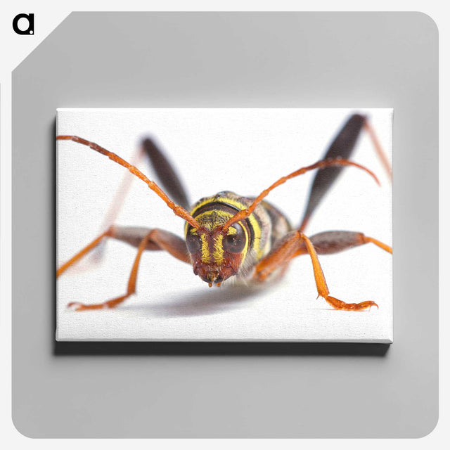 1-60_Insects-Unlocked-Project_canvas