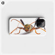 1-60_Insects-Unlocked-Project_phone