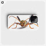 1-60_Insects-Unlocked-Project_phone