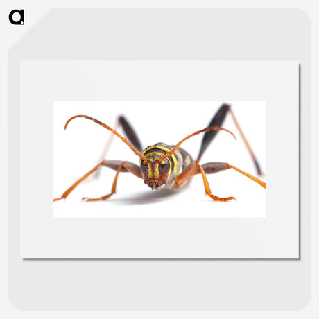 1-60_Insects-Unlocked-Project_picture