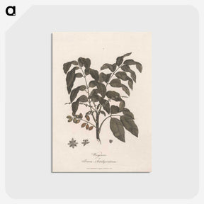 1-60_James-Heath_postcard