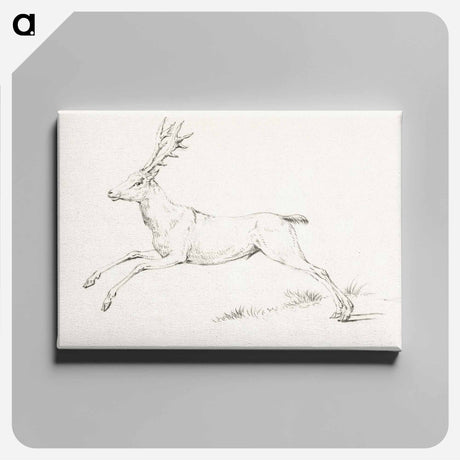 アートパネル-Jumping deer - ジャン ベルナール Canvas.