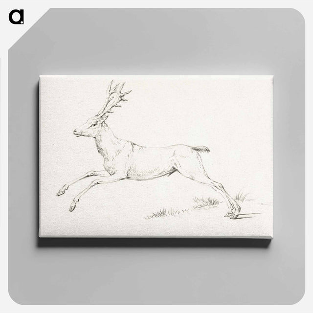 アートパネル-Jumping deer - ジャン ベルナール Canvas.