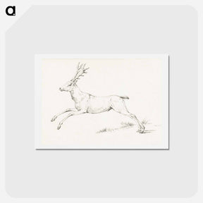 アートポストカード-Jumping deer - ジャン ベルナール Postcard.