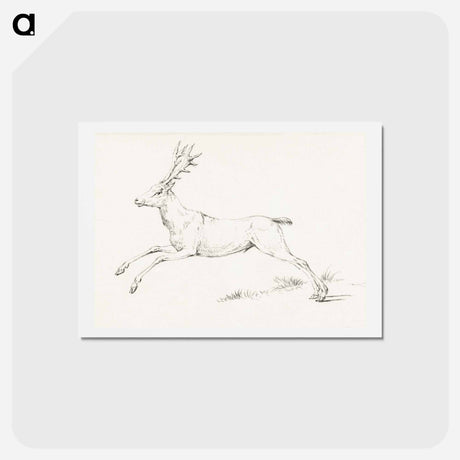 アートポストカード-Jumping deer - ジャン ベルナール Postcard.