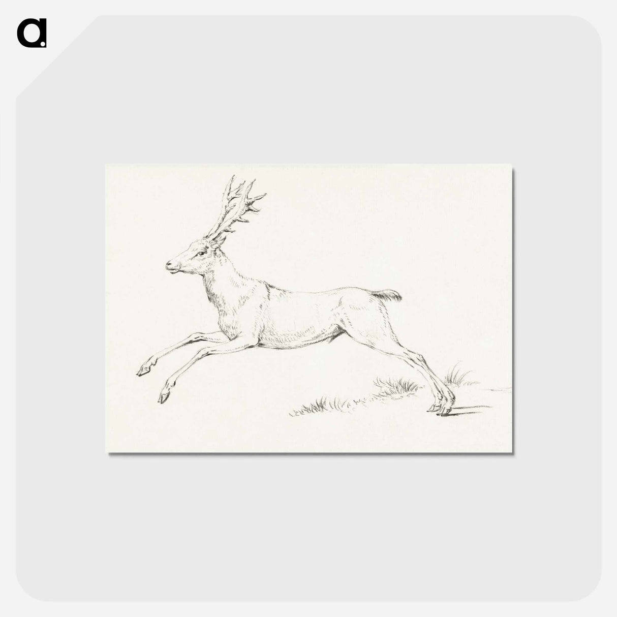 アートポストカード-Jumping deer - ジャン ベルナール Postcard.
