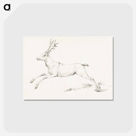 アートポストカード-Jumping deer - ジャン ベルナール Postcard.