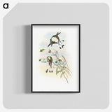 1-60_John-Gould_blk-crop