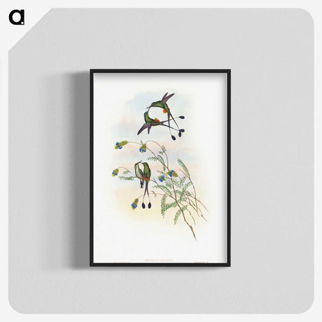 1-60_John-Gould_blk-crop