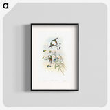 1-60_John-Gould_blk