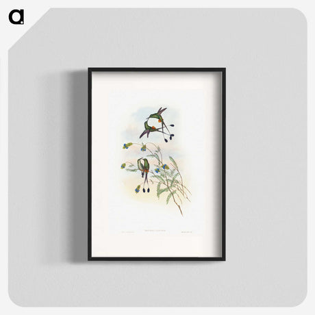 1-60_John-Gould_blk
