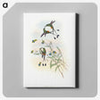 1-60_John-Gould_canvas