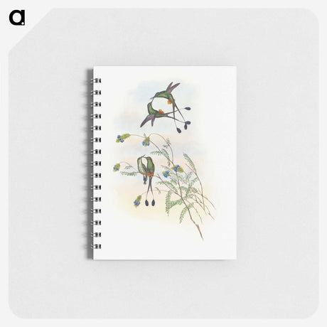 1-60_John-Gould_memo