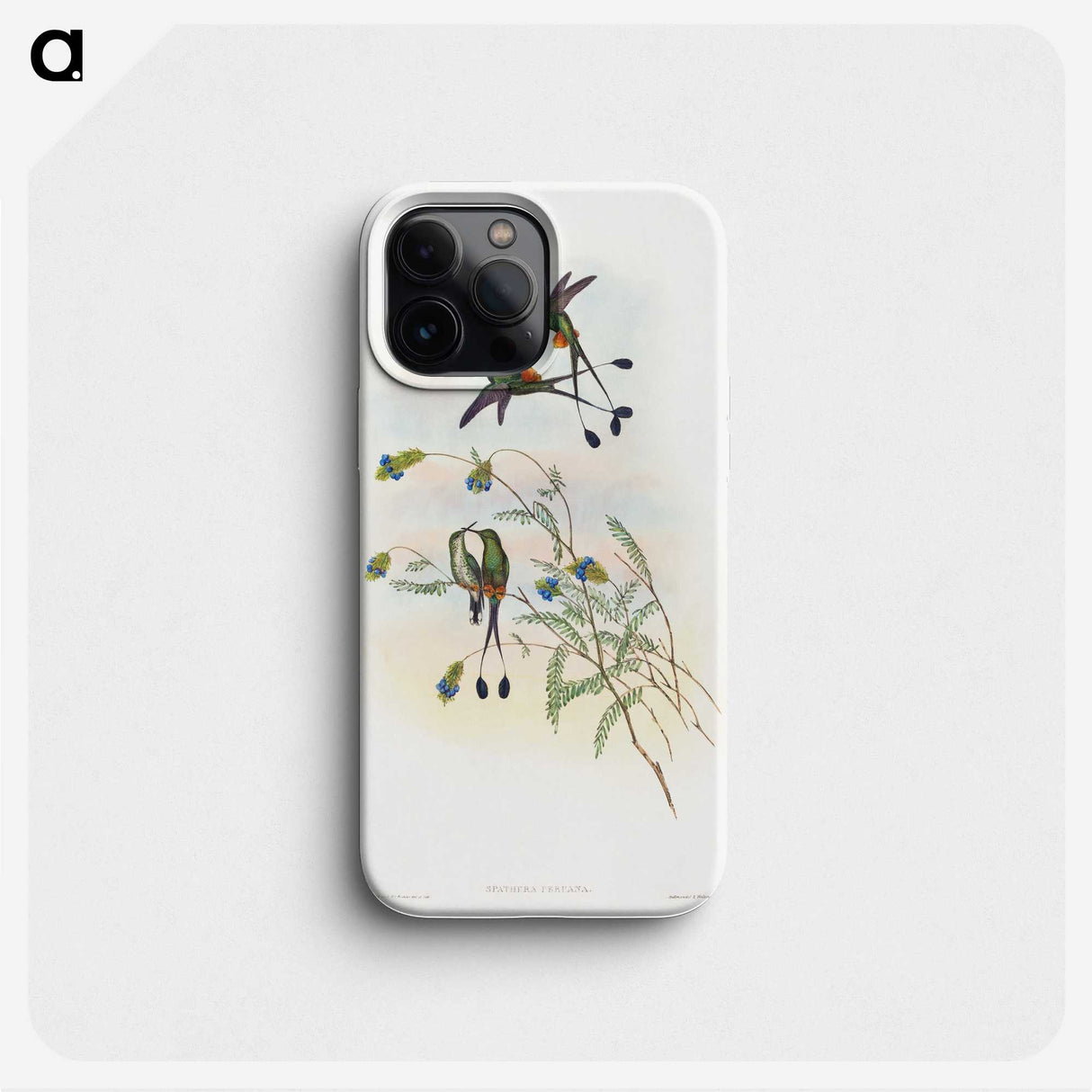 1-60_John-Gould_phone