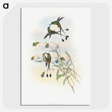 1-60_John-Gould_picture-crop