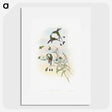 1-60_John-Gould_picture