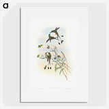 1-60_John-Gould_picture