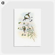 1-60_John-Gould_postcard