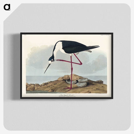 1-60_John-James-Audubon_blk-crop