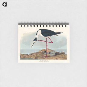 アートメモ帳-Long-legged Avocet
 - ジョン ジェームス オーデュボン Memo.