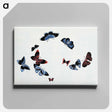 アートパネル-Japanese butterfly - 神坂 雪佳 Canvas.