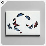 アートパネル-Japanese butterfly - 神坂 雪佳 Canvas.
