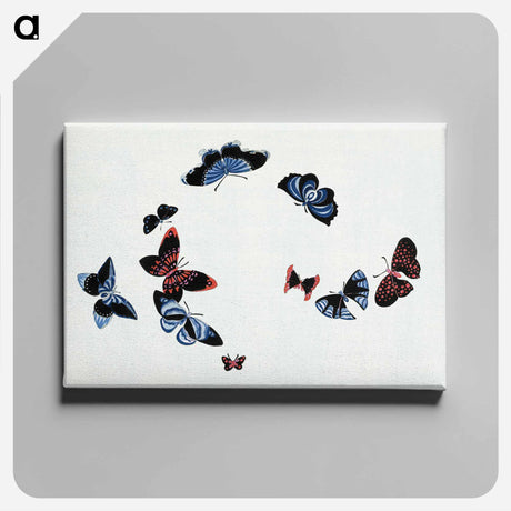 アートパネル-Japanese butterfly - 神坂 雪佳 Canvas.