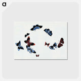 アートポストカード-Japanese butterfly - 神坂 雪佳 Postcard.
