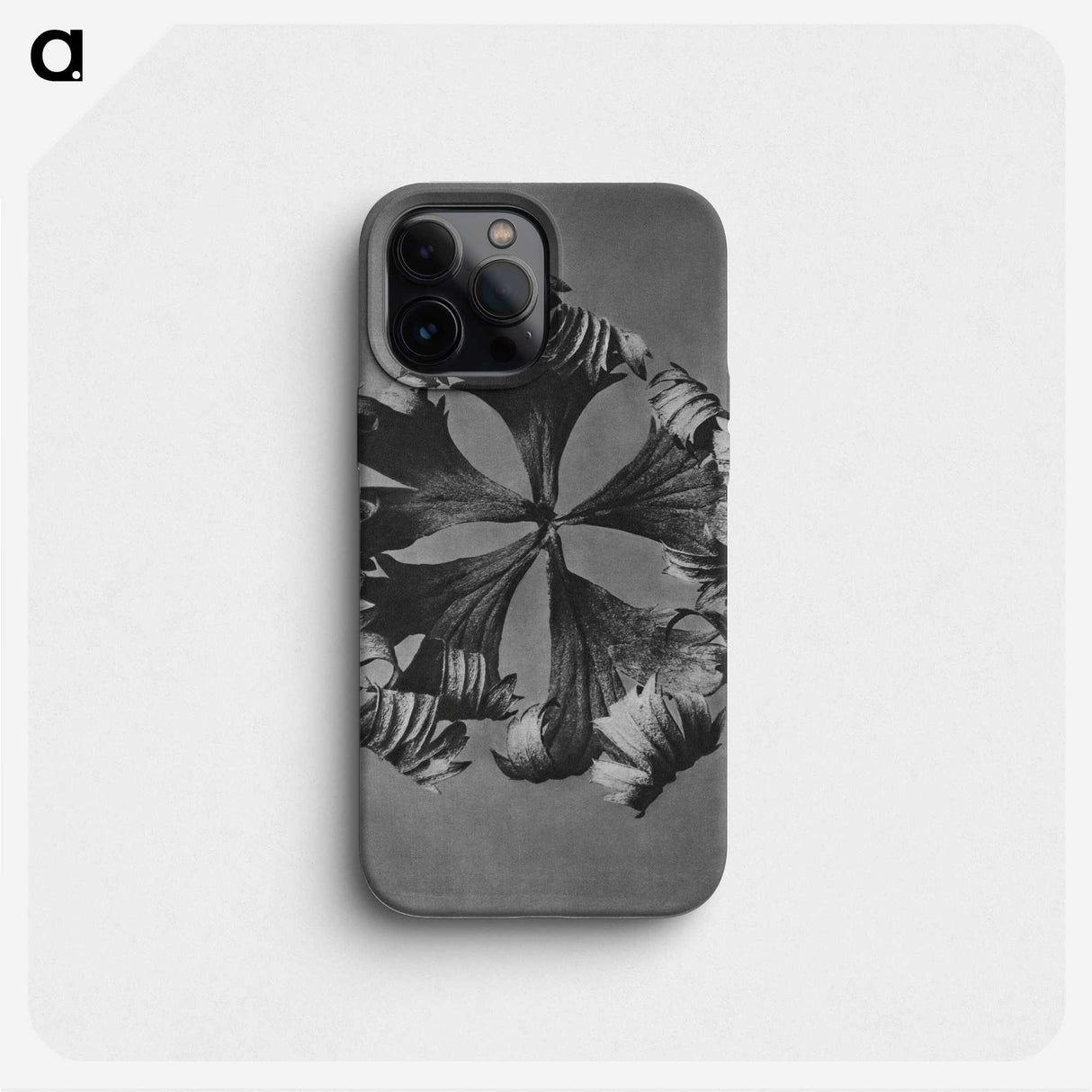 1-60_Karl-Blossfeldt_phone