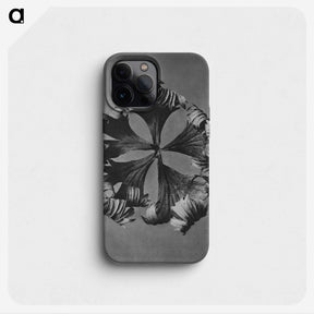 1-60_Karl-Blossfeldt_phone