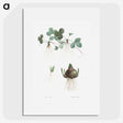 1-60_La-Botanique_picture