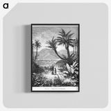 1-60_Les-Palmiers-Histoire-Iconographique_blk-crop