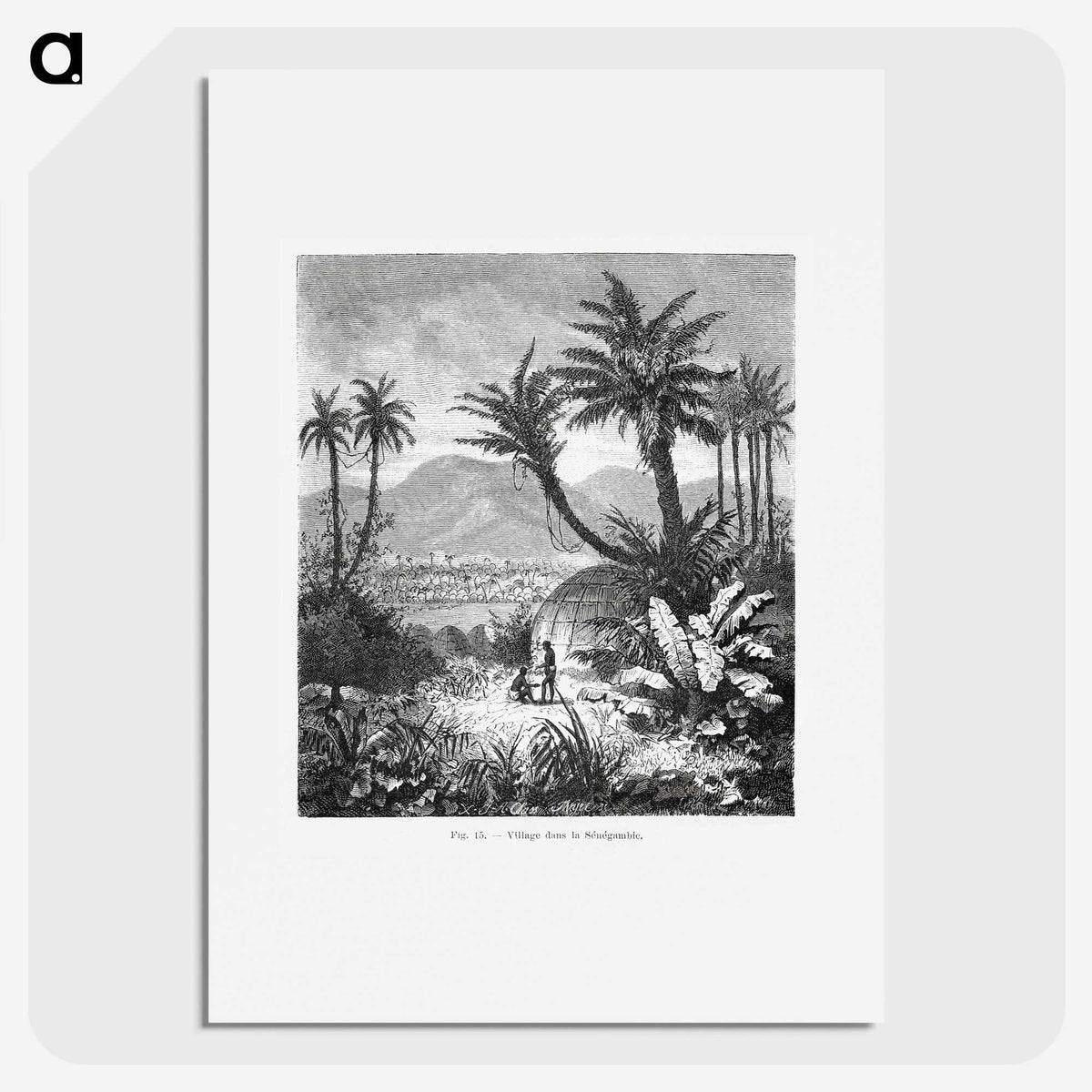 1-60_Les-Palmiers-Histoire-Iconographique_picture