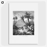 1-60_Les-Palmiers-Histoire-Iconographique_picture