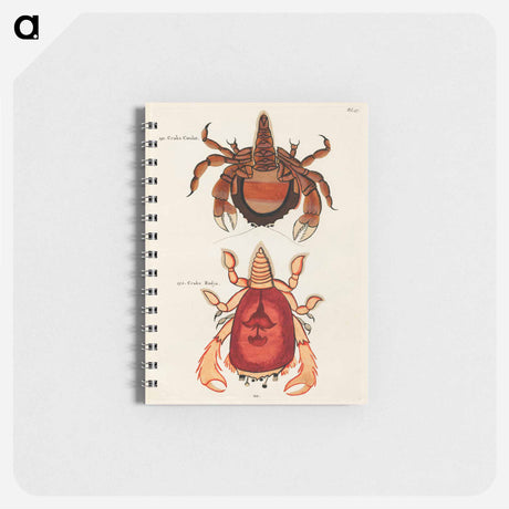 アートメモ帳-Moluccan Crabs
 - ルイ ルナール Memo.