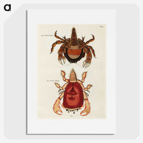 1-60_Louis-Renard_picture