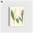 1-60_Maria-Sibylla-Merian_memo