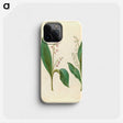 1-60_Maria-Sibylla-Merian_phone