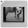1-60_Marion-Post-Wolcott_canvas
