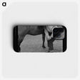 1-60_Marion-Post-Wolcott_phone