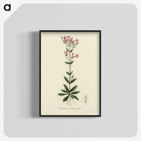 1-60_Medical-Botany_blk-crop