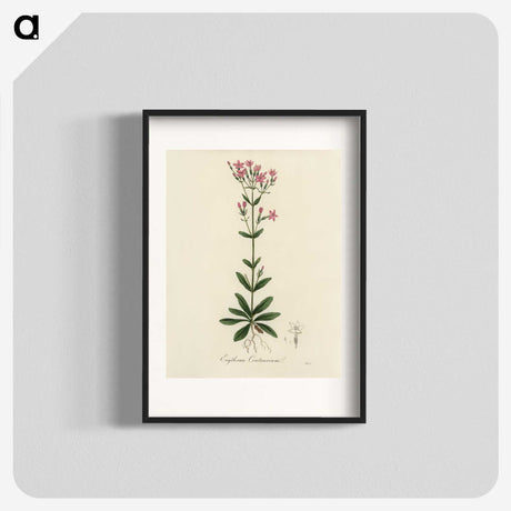 1-60_Medical-Botany_blk