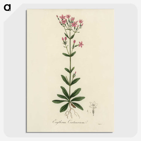1-60_Medical-Botany_picture-crop