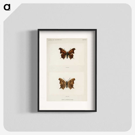 1-60_Moths-and-Butterflies-of-the-United-States_blk