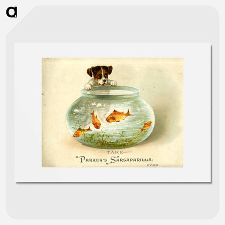 アートポスター-Parker's Sarsaparilla
 - 国立医学図書館 Poster.